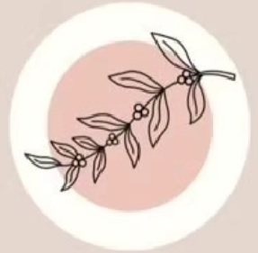 layout and grid design